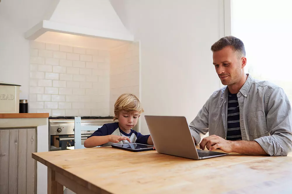 Work from Home Risks